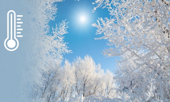 В останній день року у Вінниці буде сніжна та морозна погода