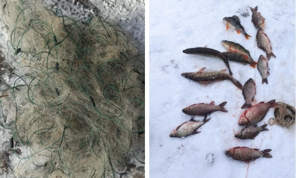 В Сутисківській громаді чоловік сіткою наловив риби на понад 30 тис. грн
