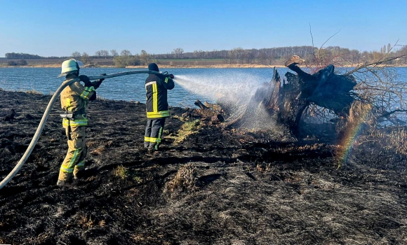 В Тульчинській громаді вигоріли п’ять гектарів землі