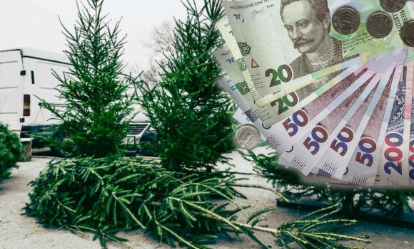 В Україні озвучили вартість різдвяних ялинок ціни у регіонах різняться В Україні озвучили вартість різдвяних ялинок ціни у регіонах різняться