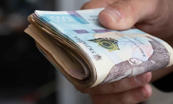 В Україні запускають виплату Пакунок школяра яка сума і хто зможе отримати