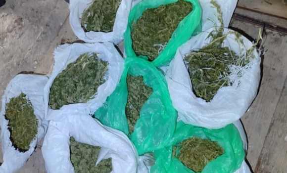 В жительки Тульчинського району вилучили 700 грамів канабісу