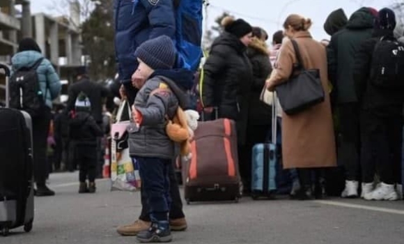 Вчора у вінницьких закладах освіти перебували 382 переселенці