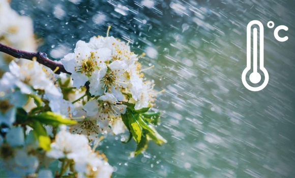 Весна з характером вже відомо, коли у Вінниці припиняться дощі та чи чекати потепління