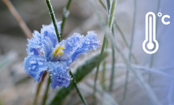 Від 0 до -5 квітень готує вінничанам «крижаний» погодний сюрприз у ніч на п'ятницю