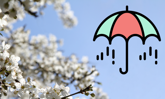 Вінничан попереджають про нові дощі - прогноз погоди на 12 квітня