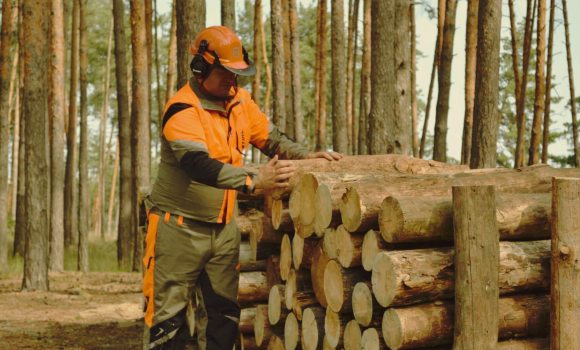 Вінничани придбали майже 105 тис. кубометрів дров на зиму