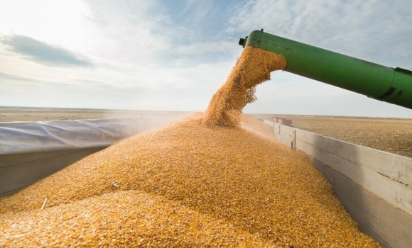 Вінницька область зібрала найбільшу кількість зерна в Україні