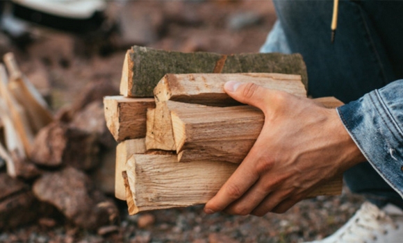 Вінницькі лісівники розповіли як придбати дрова напередодні важкої зими