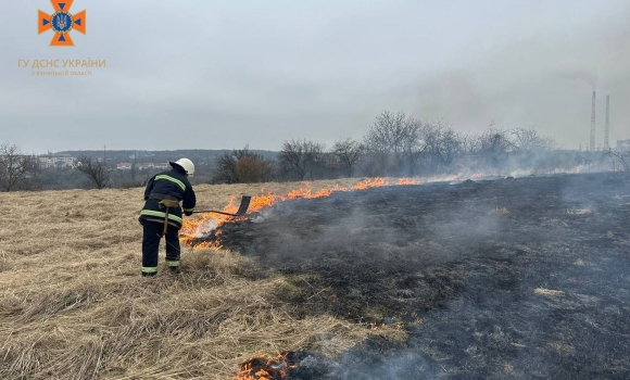 Вінницькі рятувальники ліквідували загорання на площі у два гектари