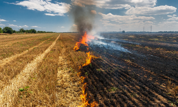 Вінницькі рятувальники шість разів за добу виїжджали гасити загоряння сухої трави