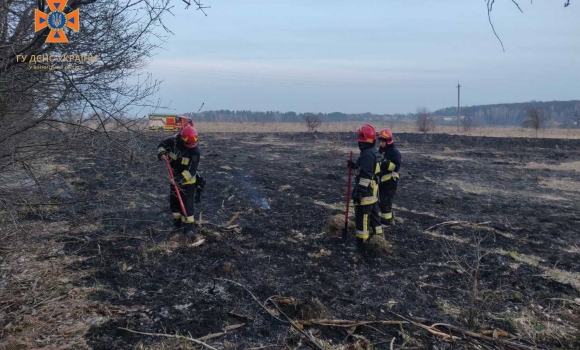 Вінницькі рятувальники тричі за день виїжджали на ліквідацію пожеж в екосистемах