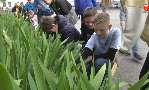 Вінницькі школярі висаджують тюльпани у рамках проєкту «Flowers4School»