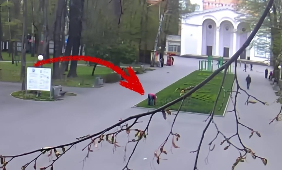 Вінничан обурило відео жінка серед білого дня краде цибулини квітів з клумби центрального парку