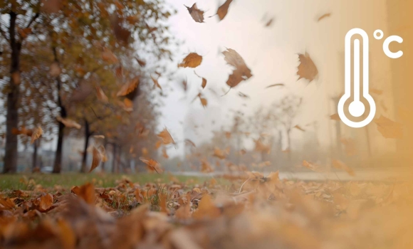 Вінничан попереджають про сильні пориви вітру 26 листопада Вінничан попереджають про сильні пориви вітру 26 листопада