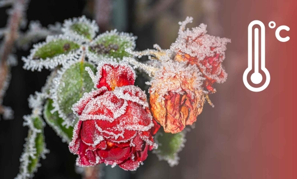 Вінничан попереджають про туман і ожеледицю на дорогах