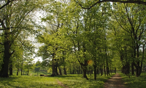 Вінничан запрошують на прогулянку парком, створеним ірландським ландшафтним архітектором