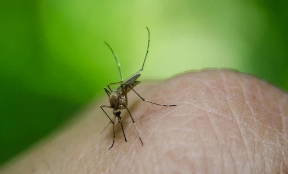 Вінничанин з'їздив на Сейшели й повернувся з симптомами вірусної лихоманки