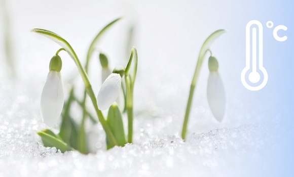 Вінниччину засипле снігом Синоптики це спростовують!