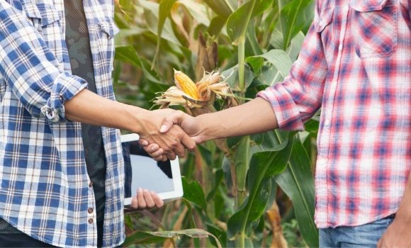 Вінницька міськрада розширює підтримує розвиток аграрного сектору