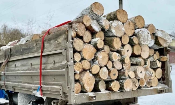 Вінницька область у ТОП-10 регіонів, де найбільше закуповують дрова