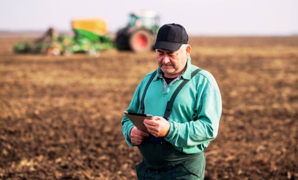 Вінницькі аграрії завершили сівбу пшениці що вже в землі та які плани на травень