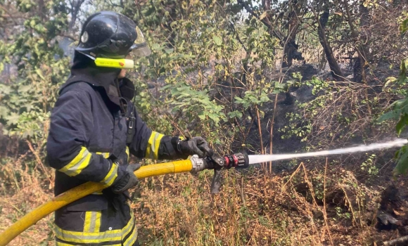 Вінницькі надзвичайники ліквідували 32 пожежі в природних екосистемах