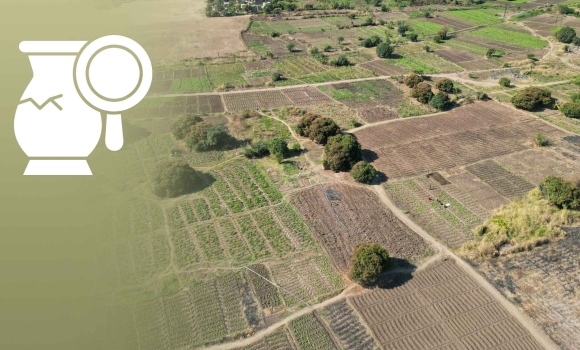 Вінницькі прокурори повернули державі ділянку з пам’яткою археології 