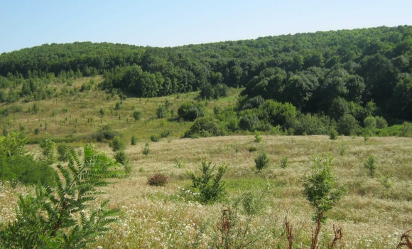 Вінницькі прокурори працюють над поверненням «Кармелюкового Поділля» державі Вінницькі прокурори працюють над поверненням «Кармелюкового Поділля» державі