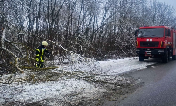 Вінницькі рятувальники двічі виїжджали розчищати дороги від повалених дерев