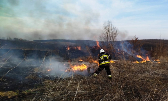 Вінницькі рятувальники ліквідували 83 пожежі в природних екосистемах області