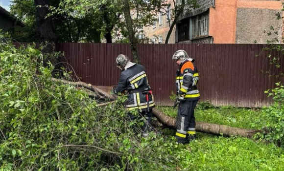 Вінницькі рятувальники прибирали дерева з доріг і відкачували воду з приміщень