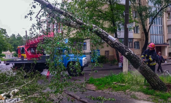 Вінницькі рятувальники прибирали повалені дерева з доріг та припаркованих авто