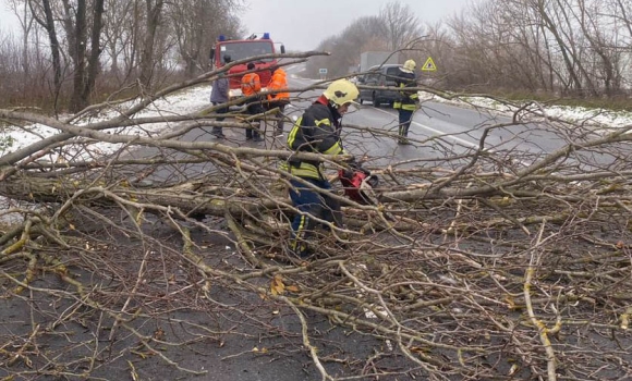 Вінницькі рятувальники прибирали з доріг дерева та відбуксирували “швидку”