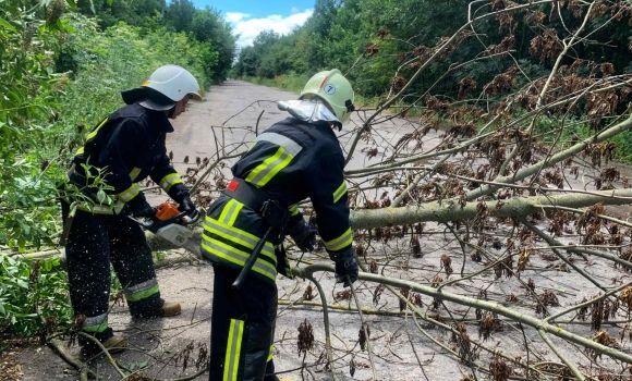 Вінницькі рятувальники шість разів виїжджали розкряжовувати повалені вітром дерева