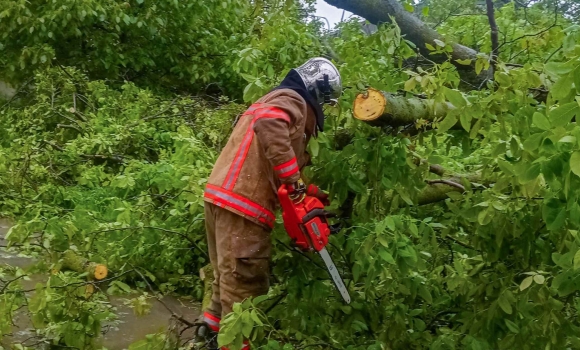 Вінницькі рятувальники сім разів виїздили на виклики щодо повалених дерев