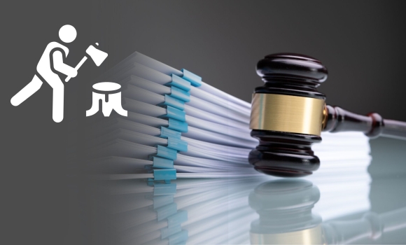 Вінницький лісівник завдав держпідприємству збитків майже на пів мільйона