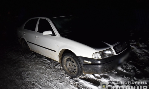 Вінницький водій, який ремонтував автобус на трасі, загинув під колесами Skoda Octavia