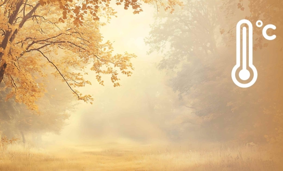 Вінницю в понеділок, 10 листопада, вкриє густий туман Вінницю в понеділок, 10 листопада, вкриє густий туман