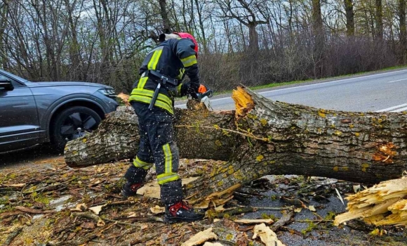 Вітер наробив лиха на Вінниччині де саме розчищали дороги від завалів