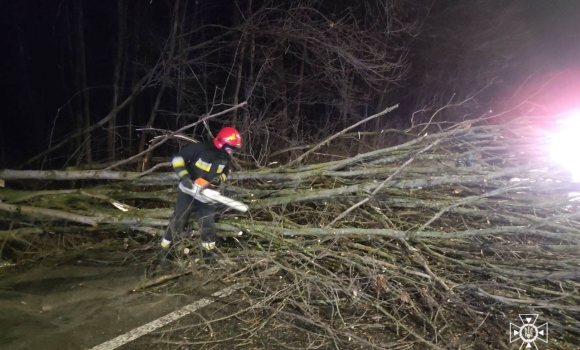 Вночі 25 грудня сильний вітер повалив дерева у Вінниці та області