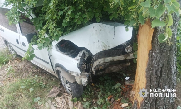 Водій Opel влетів у дерево у Вороновицькій громаді