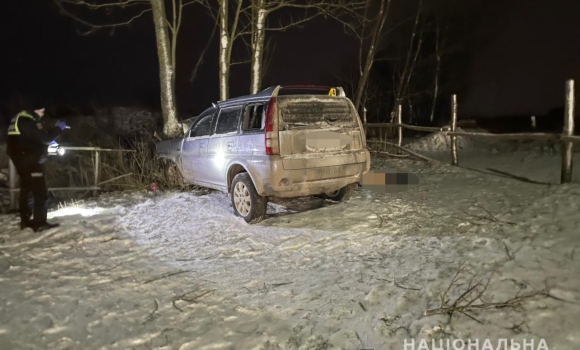 Водій загинув на місці у Літинській громаді автомобіль влетів у дерево