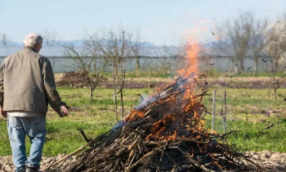 Восени у Вінниці вісім людей оштрафували за спалювання сухої рослинності