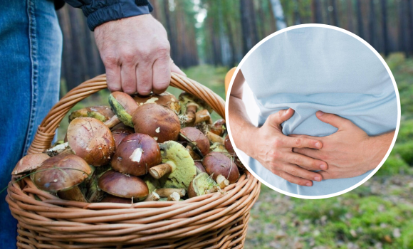 Восьмеро людей на Вінниччині отруїлися грибами: що рекомендують фахівці