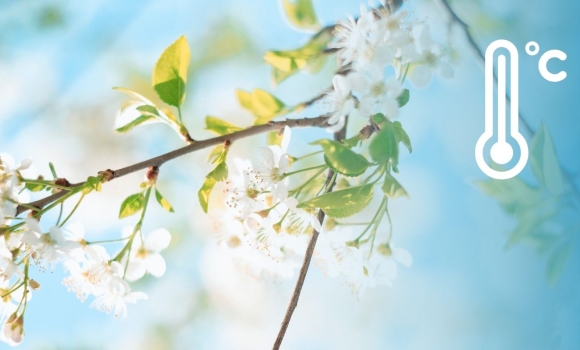 Вихідні з дощем, а будні з морозом синоптики оприлюднили детальний прогноз для Вінниці