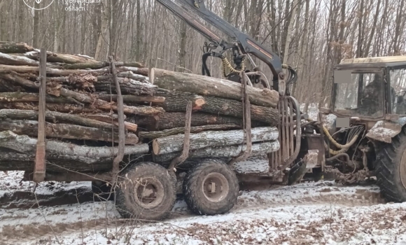Виявили факт незаконного вивезення деревини на Вінниччині