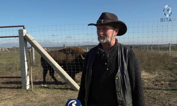 Як на Вінниччині в рамках проєкту Агро Кемпа відновлюють популяції оленів і бізонів