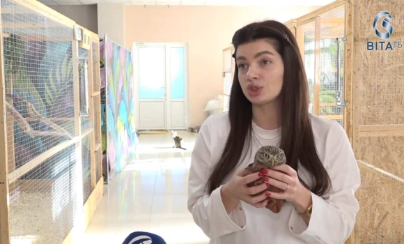 Як у вінницькому центрі реабілітаціївиходжують диких птахів та покинутих домашніх улюбленців