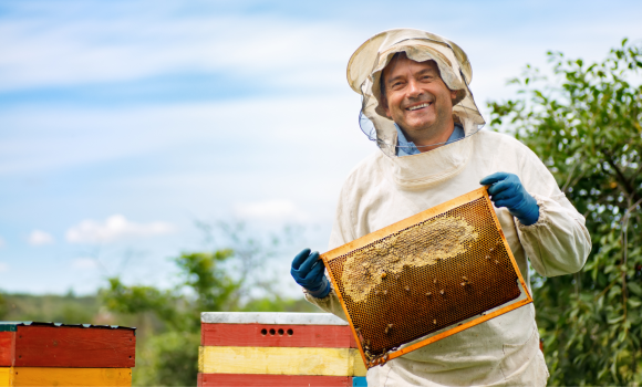 Як Вінницька громада спромоглась збільшити обсяги виробництва меду